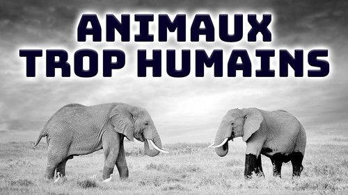 Animals Like Us filmas žiurėti online