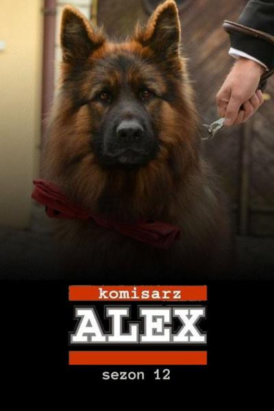 Komisarz Alex filmas online