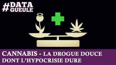 Data Gueule