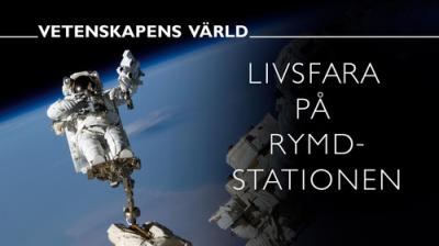 Vetenskapens värld