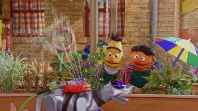 Sesame Street