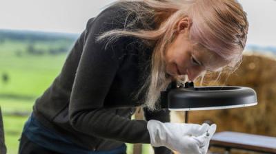 Digging for Britain