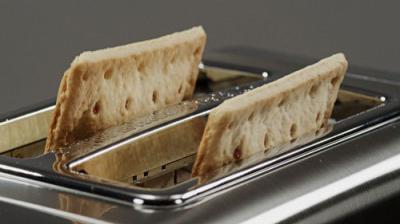 The Food That Built America