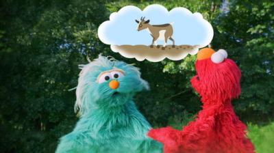 Sesame Street