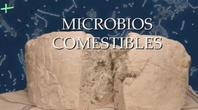 Planeta Microbio
