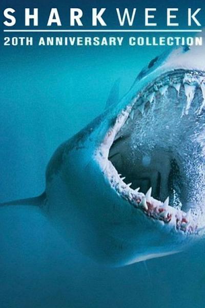 Shark Week filmas online