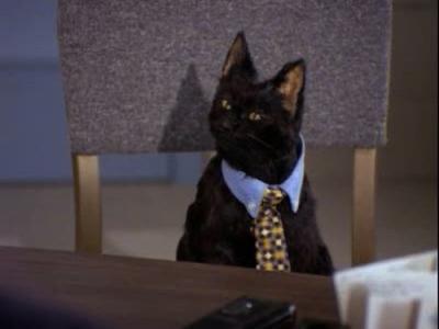 Sabrina, the Teenage Witch