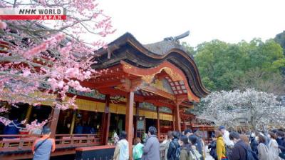 NHK WORLD PRIME