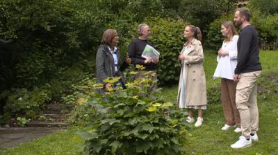 Duell der Gartenprofis