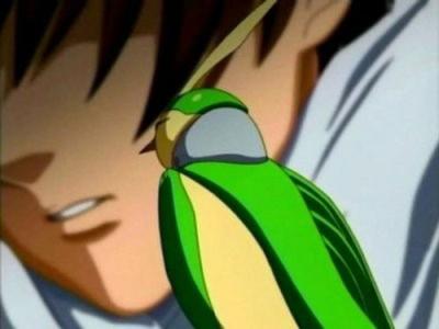 機動戦士ガンダムSEED