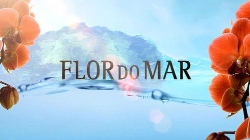 Flor do Mar filmas žiurėti online