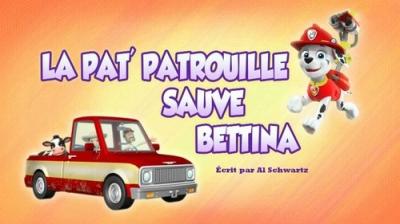 Šunyčiai patruliai
