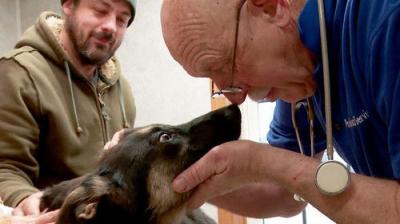 The Incredible Dr. Pol