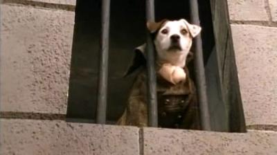 Wishbone