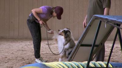 The Amazing Race Canada