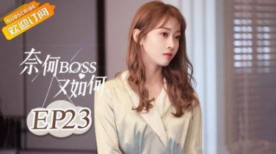 奈何BOSS又如何
