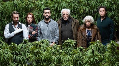 Family Business filmas žiurėti online