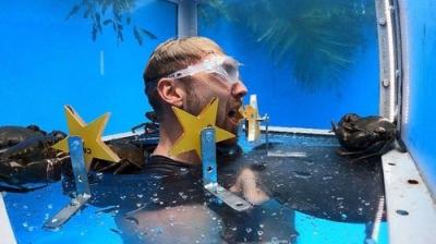 I'm a Celebrity...Get Me Out of Here!