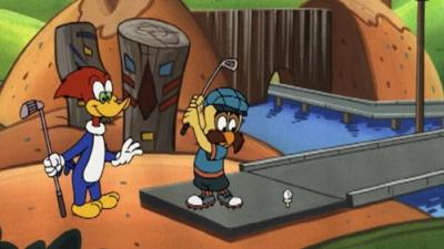 The New Woody Woodpecker Show