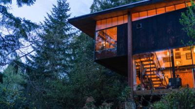 The Cabin Chronicles