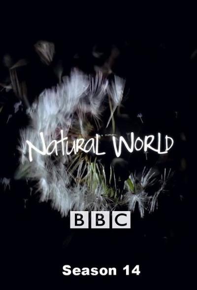 Natural World filmas online