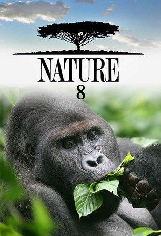 Nature filmas online