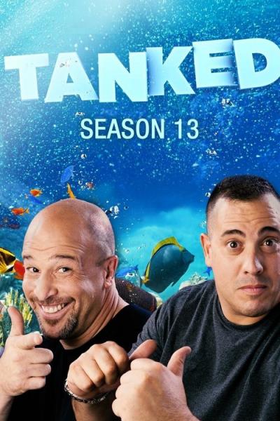 Tanked filmas online