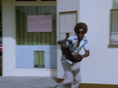 Hawaii Five-O