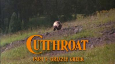 Marty Stouffer's Wild America