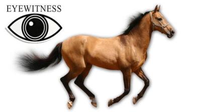 Eyewitness