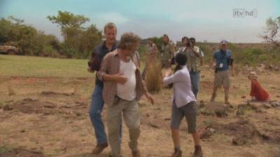 Wild at Heart