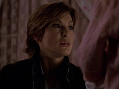 Įstatymas ir tvarka. Specialiųjų tyrimų skyrius