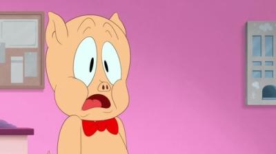 Beprotiškos melodijos. Animaciniai filmukai