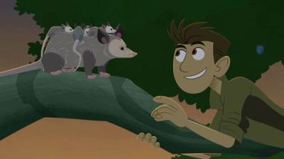 Wild Kratt