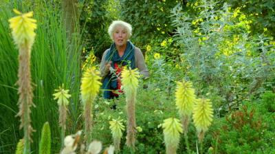 Gardeners' World