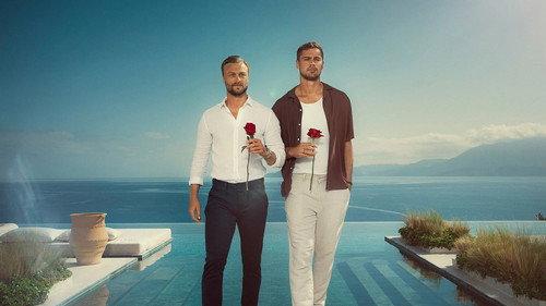 Bachelor Sverige filmas žiurėti online