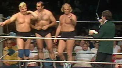 WWF All-Star Wrestling