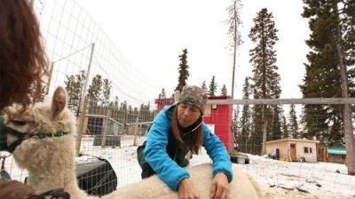 Dr. Oakley, Yukon Vet