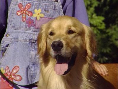 Full House