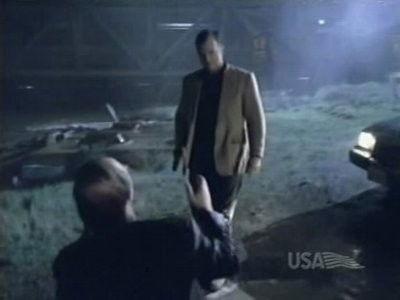 Nash Bridges