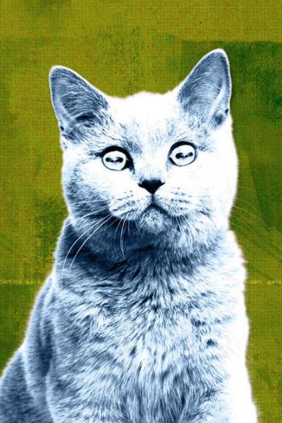 Off the Air filmas online