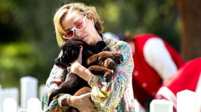 The Celebrity Apprentice Australia