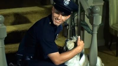 Adam-12