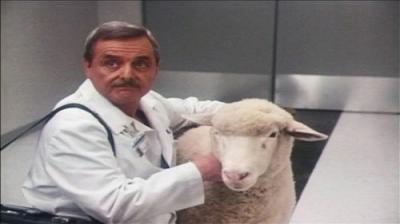 St. Elsewhere