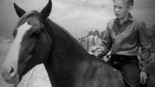 The Adventures of Champion filmas žiurėti online