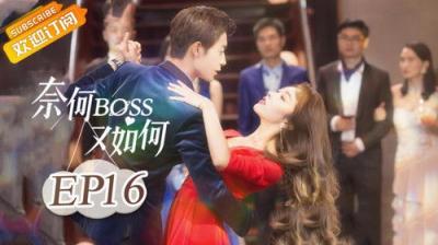 奈何BOSS又如何