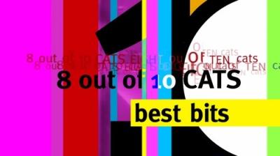 8 Out of 10 Cats