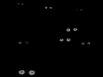 The Chronicles of Narnia