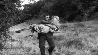The Fugitive