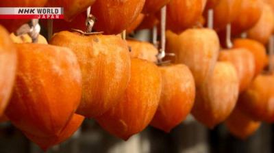 Seasoning the Seasons